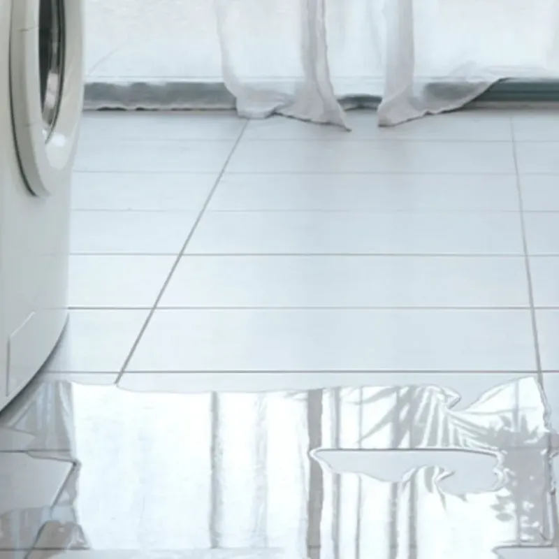 Appliance Leak Cleanup in Danville, IN