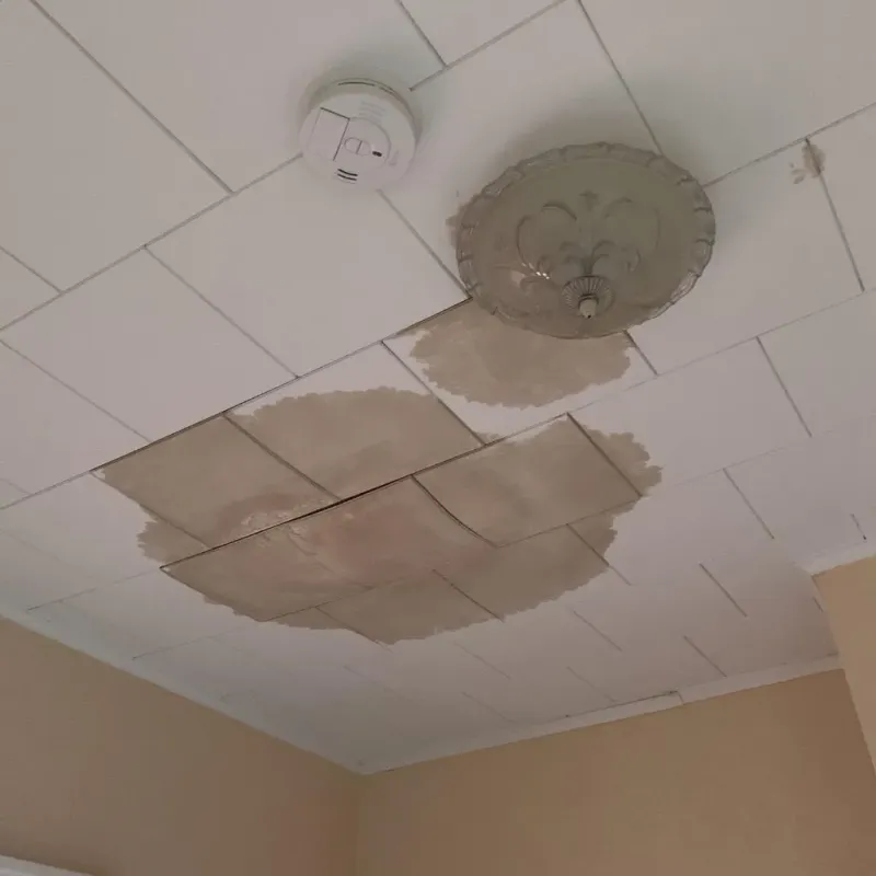 Ceiling Water Damage Repair in Danville, IN