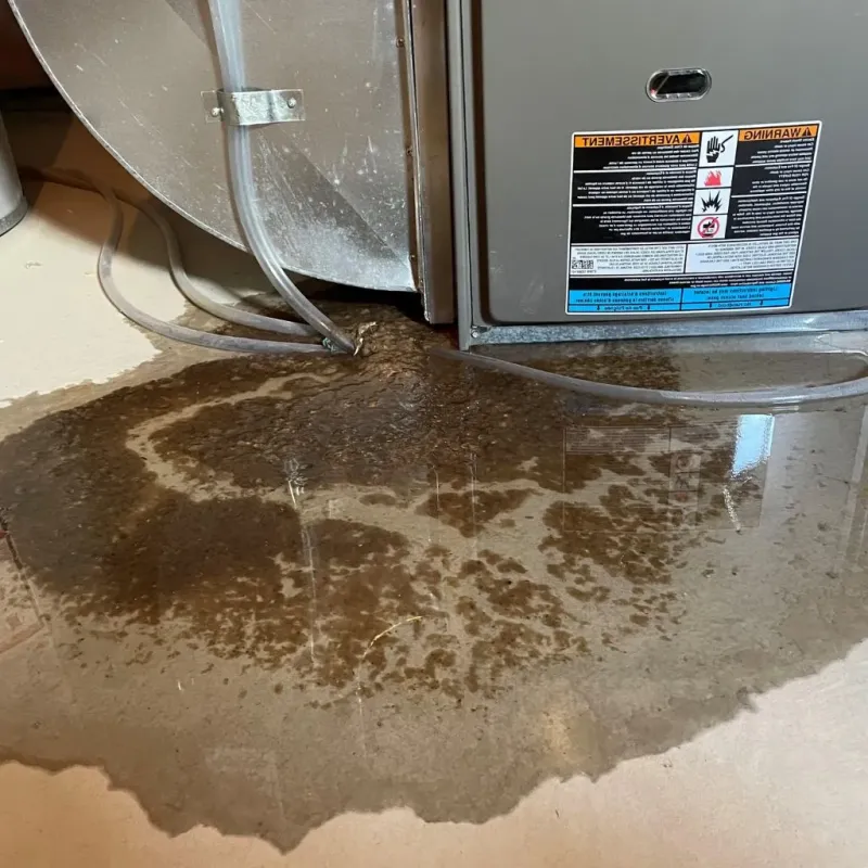 Pipe Burst and Leak Restoration in Danville, IN