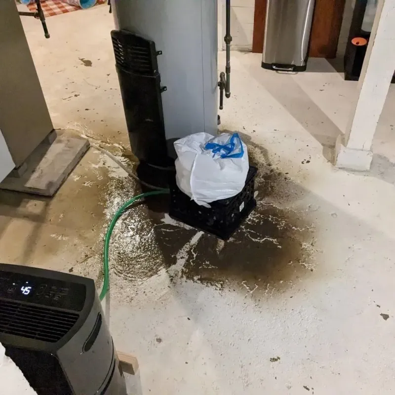 Sewage Backup Cleanup Service in Danville, IN